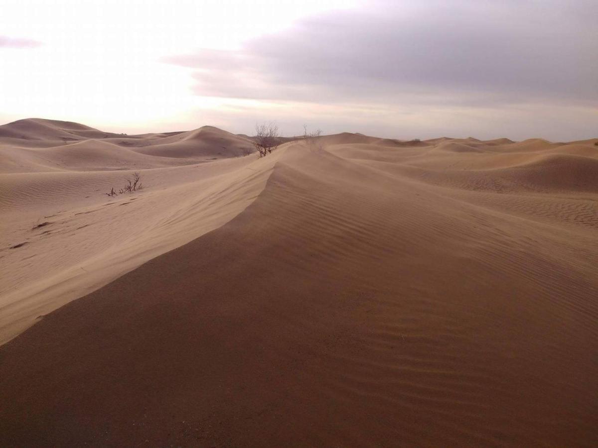 Tinfou Desert Camp Brija エクステリア 写真