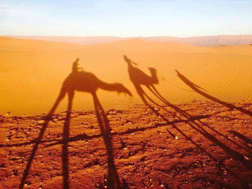 Tinfou Desert Camp Brija エクステリア 写真