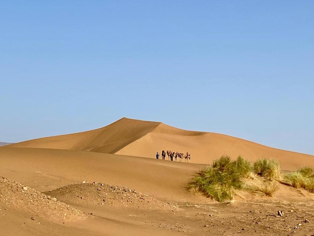 Tinfou Desert Camp Brija エクステリア 写真