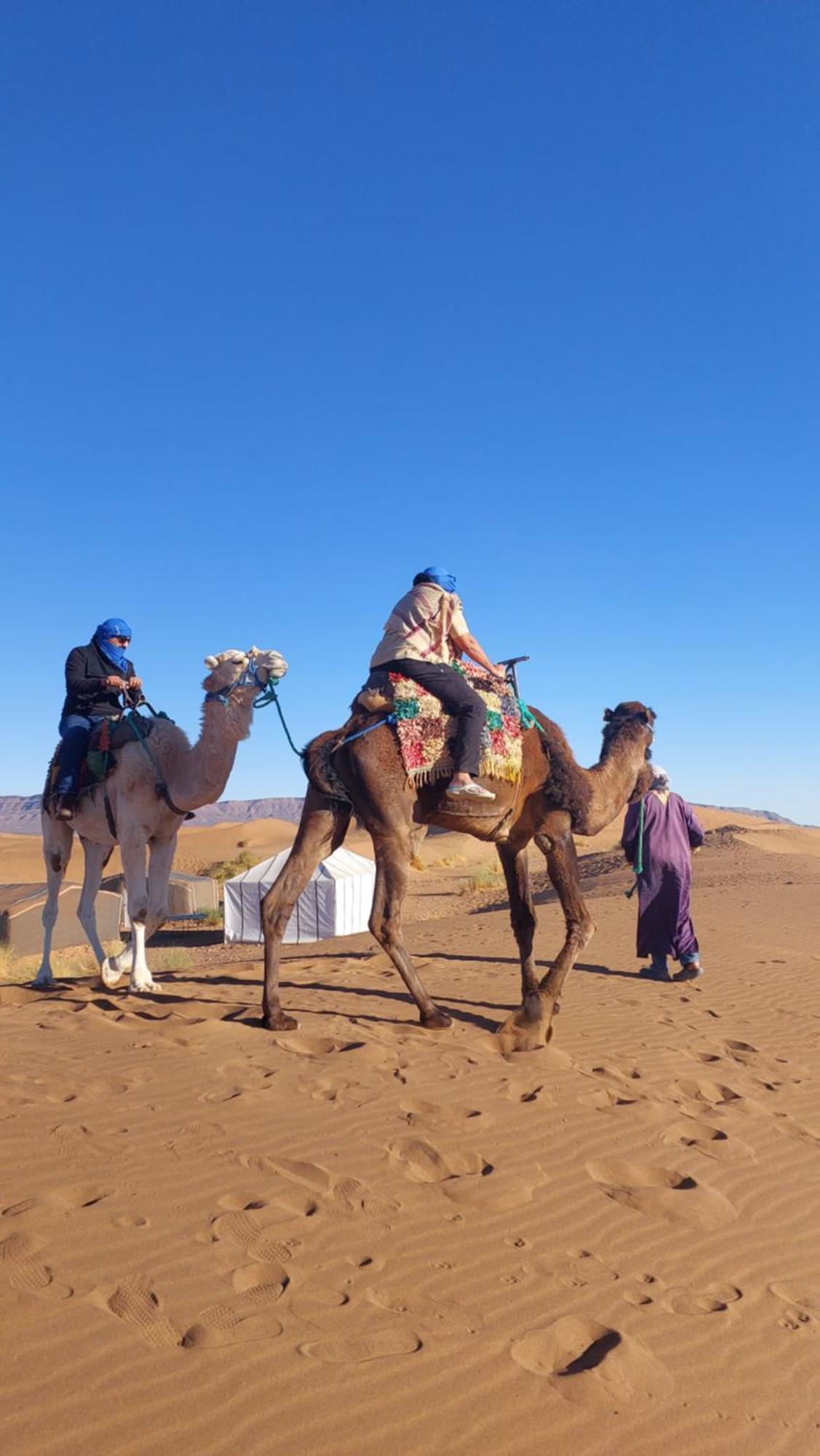 Tinfou Desert Camp Brija エクステリア 写真